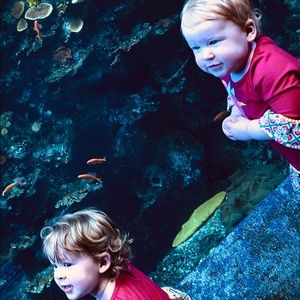 Meet your Posher, Del